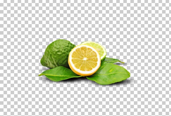 Bergamot Orange Bergamot Essential Oil DoTerra PNG, Clipart, Bergamot, Bergapten, Carrot Seed Oil, Citric Acid, Citron Free PNG Download