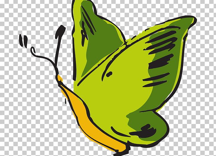 Butterfly Green PNG, Clipart, Artwork, Beak, Bird, Blue, Butterfly Free PNG Download