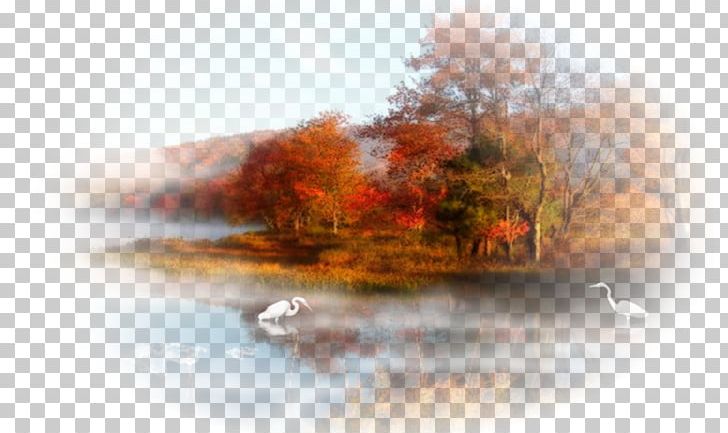 Desktop High-definition Television .com Autumn PNG, Clipart, 1080p, Arama, Autumn, Cari, Cars Free PNG Download