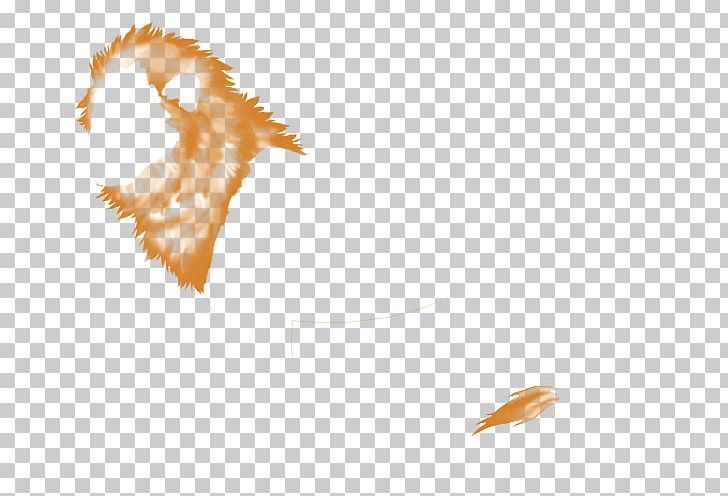 Close-up PNG, Clipart, Closeup, Feather, Golden Lion, Others, Wing Free PNG Download