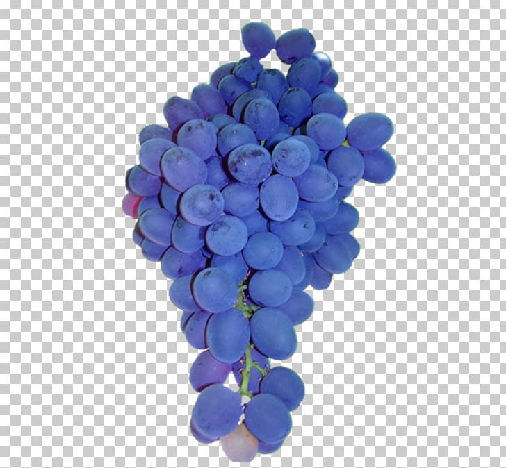 Common Grape Vine Sultana Isabella Grape Seed Extract PNG, Clipart, Auglis, Berry, Blue, Cobalt Blue, Common Grape Vine Free PNG Download