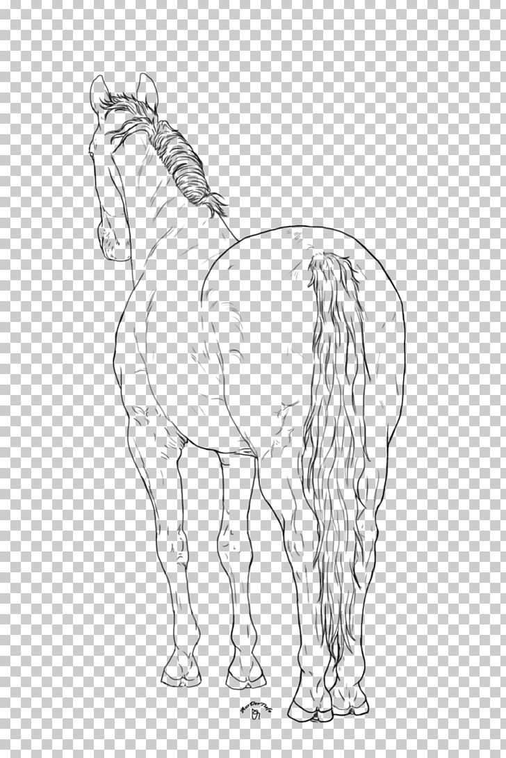 Mane Foal Bridle Mustang Colt PNG, Clipart, Animal Figure, Arm, Artwork, Black And White, Bridle Free PNG Download