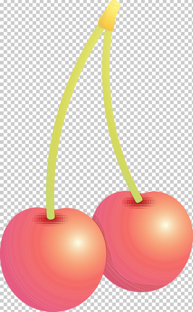 Cherry Fruit Plant Tree Drupe PNG, Clipart, Cherry, Drupe, Fruit, Paint, Plant Free PNG Download