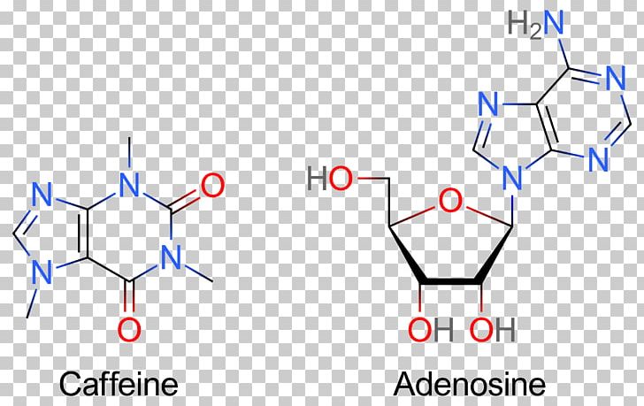 Adenosine Receptor Antagonist Caffeine Adenosine Triphosphate PNG, Clipart, Adenosine Diphosphate, Adenosine Receptor, Adenosine Triphosphate, Angle, Area Free PNG Download