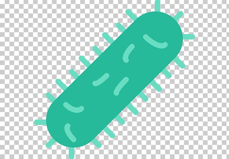 Computer Icons Ship PNG, Clipart, Bacteria, Computer Icons, Encapsulated Postscript, Green, Helmsman Free PNG Download
