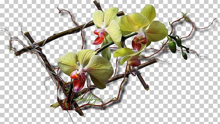 Floral Design Cut Flowers Artificial Flower PNG, Clipart, Artificial Flower, Blossom, Blume, Branch, Cut Flowers Free PNG Download