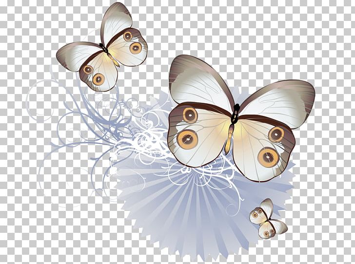 Butterfly Drawing PNG, Clipart, Art, Butterflies And Moths, Butterfly, Drawing, Floral Design Free PNG Download