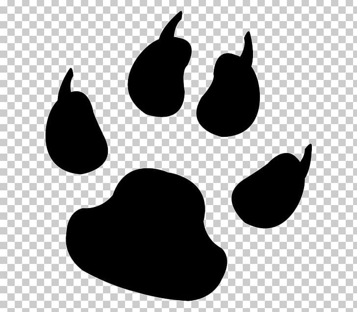 Dog Paw Animal Track Cat Footprint PNG, Clipart, 4 Paws Inn, Animal, Animals, Animal Track, Black Free PNG Download