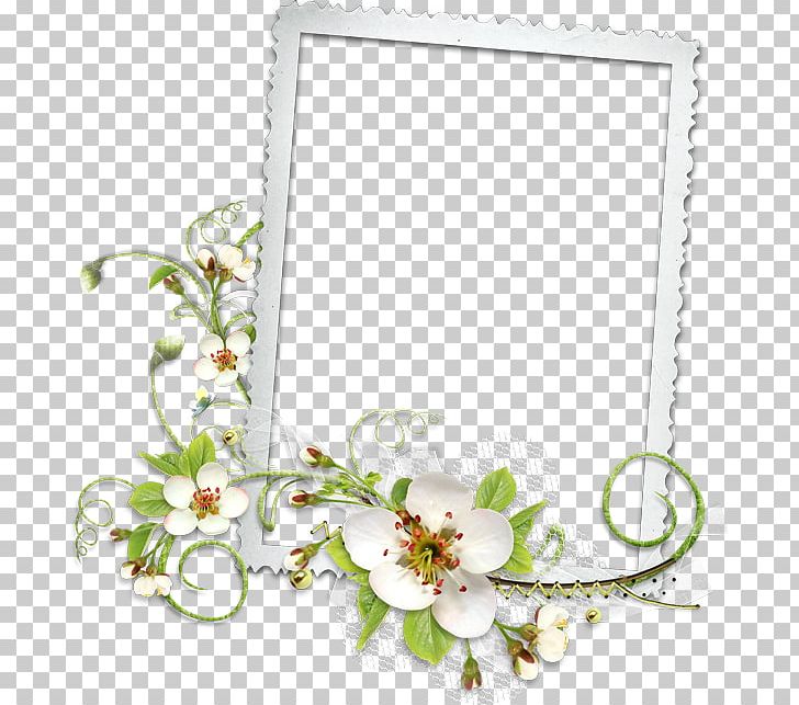 Frames Film Frame Rendering PNG, Clipart, Cut Flowers, Film Frame, Floral Design, Floristry, Flower Free PNG Download