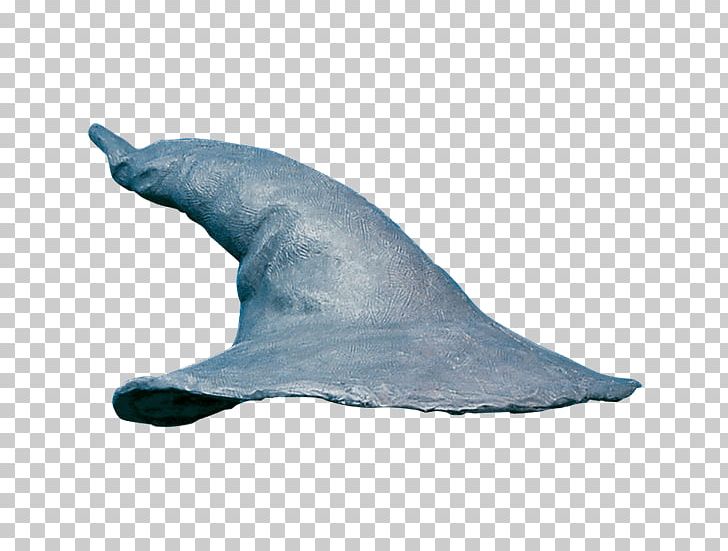 Gandalf Pointed Hat Costume Clothing PNG, Clipart, Clothing Accessories, Dolphin, Fashion, Gandalf, Gandalff Free PNG Download