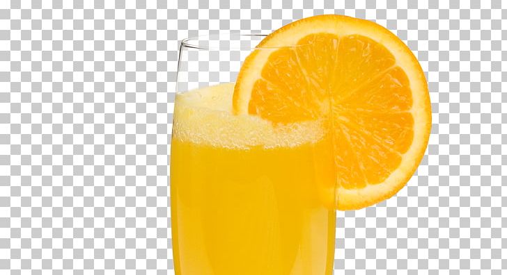 Mimosa Cocktail Buck's Fizz Champagne Liqueur PNG, Clipart,  Free PNG Download
