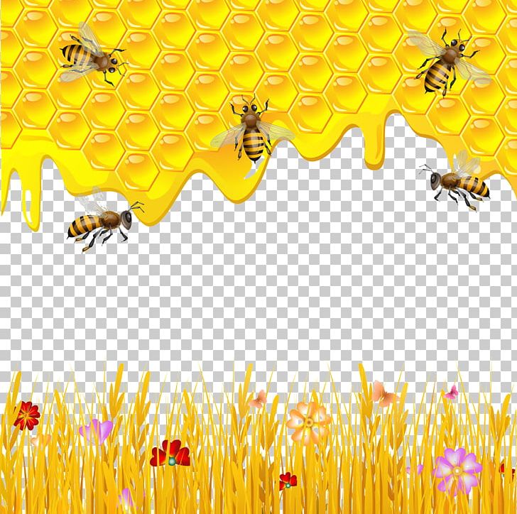 Western Honey Bee Honeycomb Drawing PNG, Clipart, Bee, Bee Hive, Bee Pollen, Bees, Bees Honey Free PNG Download
