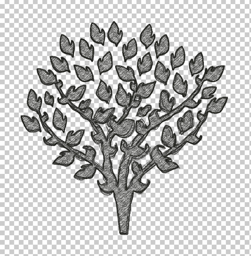 Tree With Thin Branches Covered By Leaves Icon Tree Icon Nature Icon PNG, Clipart, Biology, Branching, Drawing, Leaf, M02csf Free PNG Download