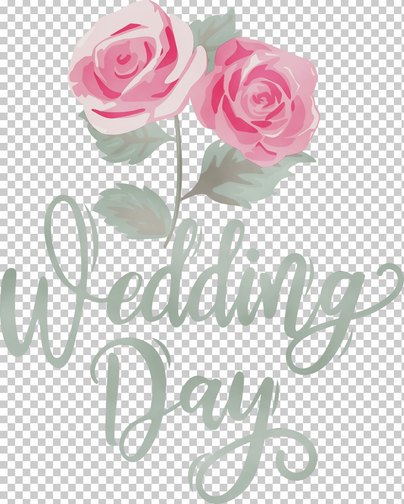 Floral Design PNG, Clipart, Cabbage Rose, Cut Flowers, Floral Design, Flower, Flower Bouquet Free PNG Download