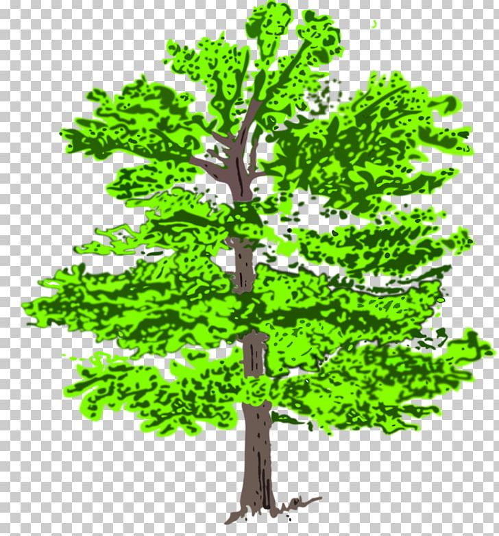Graphics Tree Illustration Euclidean PNG, Clipart, Acer Buergerianum, Branch, Graphic Design, Grass, Green Plant Free PNG Download