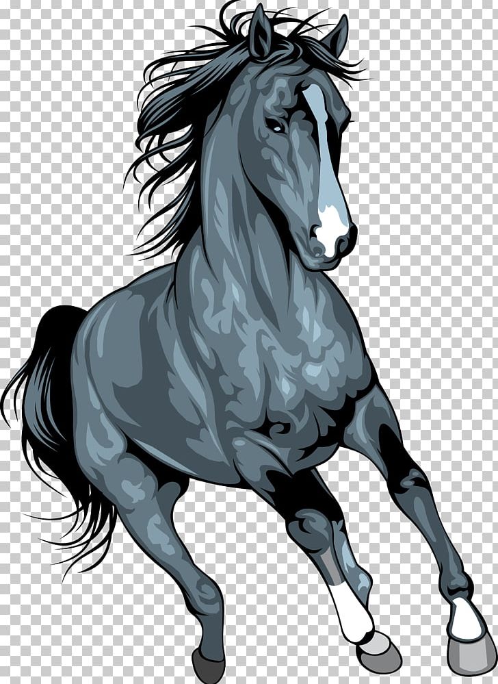 Mustang Arabian Horse Horses Wild Horse PNG, Clipart, Arabian Horse, Black, Black And White, Bridle, Fictional Character Free PNG Download