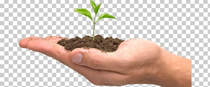 Native Plant Hand PNG, Clipart, Adr, Business World, Cactaceae, Computer Icons, Ecosystem Free PNG Download