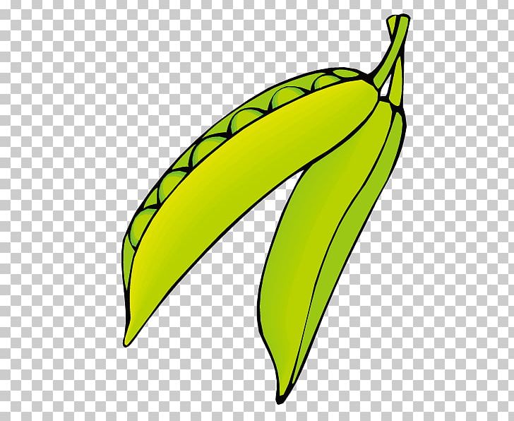 Pea Euclidean Vegetable PNG, Clipart, Banana, Banana Family, Butterfly Pea, Butterfly Pea Flower, Canning Free PNG Download