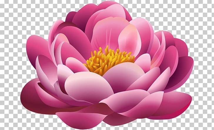 Pink Flowers PNG, Clipart, Art, Dahlia, Desktop Wallpaper, Digital Scrapbooking, Document Free PNG Download