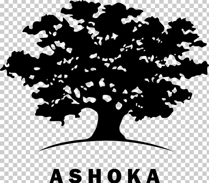Ashoka: Innovators For The Public Innovation Organization Entrepreneurship PNG, Clipart, Ashoka, Branch, Business, Entrepreneurship, Innovation Free PNG Download