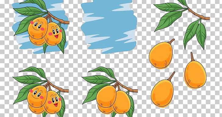 Auglis Pear Illustration PNG, Clipart, Apricot, Apricot Vector, Auglis, Branch, Carambola Free PNG Download