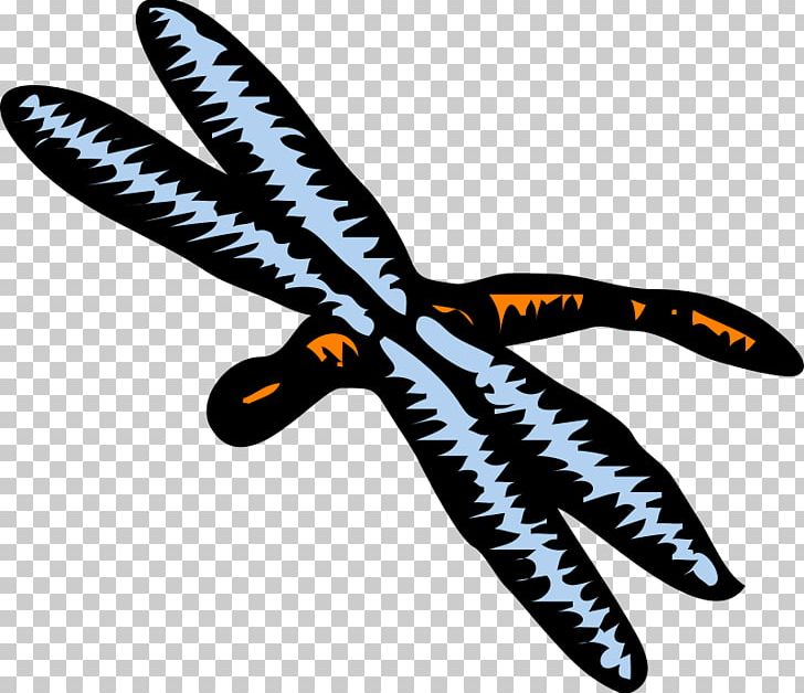 Dragonfly PNG, Clipart, Art, Beak, Computer Icons, Download, Dragonfly Free PNG Download
