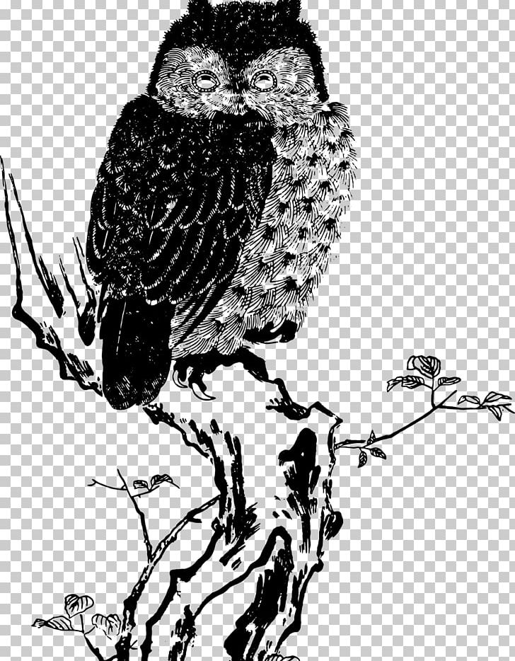 Owl Drawing PNG, Clipart, Animals, Art, Beak, Bird, Bird Of Prey Free PNG Download