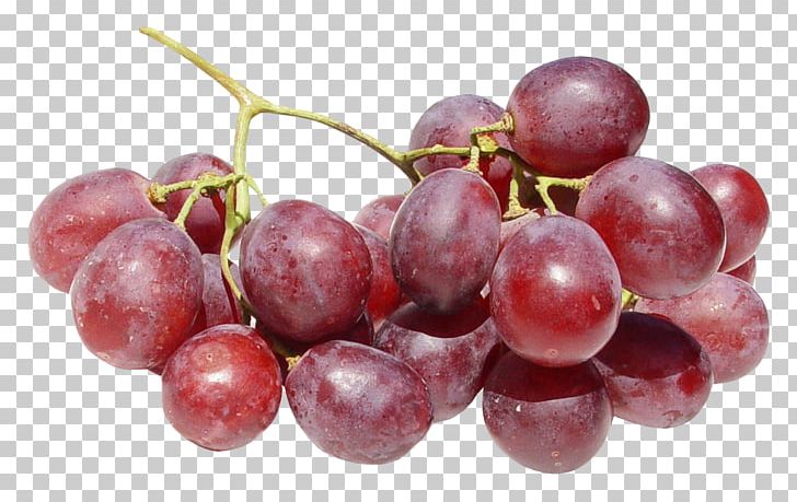 Red Wine Common Grape Vine Dog PNG, Clipart, Common Grape Vine, Dog, Extract, Food, Fruit Free PNG Download