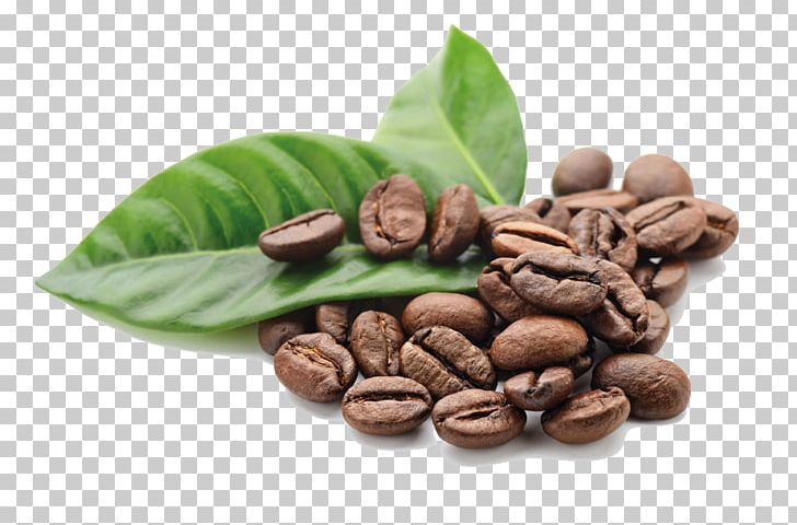 Chocolate-covered Coffee Bean Cafe Espresso Kona Coffee PNG, Clipart, Bean, Cafe, Caffeine, Caffe Macchiato, Chocolatecovered Coffee Bean Free PNG Download