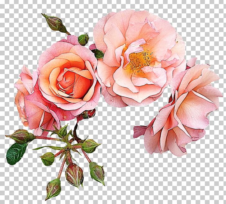 Garden Roses Flower Pink PNG, Clipart, Artificial Flower, Decorative, Floribunda, Flower Arranging, Flowers Free PNG Download