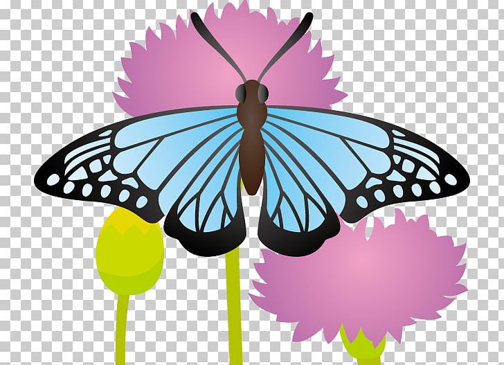 Monarch Butterfly Pieridae Nymphalidae PNG, Clipart, Arthropod, Aureus Butterflies Insects, Brush Footed Butterfly, Butterfly, Flower Free PNG Download