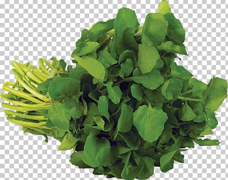 Organic Food Watercress Parsley Sunac Natural Market PNG, Clipart, Cabbage, Coriander, Delivery, Food, Garden Cress Free PNG Download