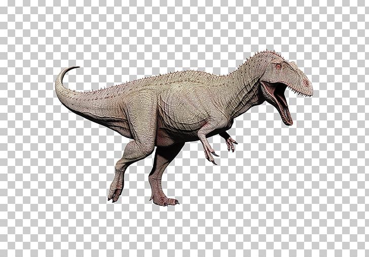 Tyrannosaurus Acrocanthosaurus Extinction Carcharodontosaurus Velociraptor PNG, Clipart, Acre, Acro, Acrocanthosaurus, Albino, Animal Figure Free PNG Download