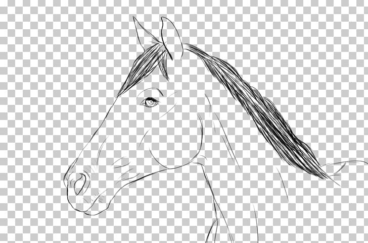 Halter Bridle Rein Mustang Sketch PNG, Clipart, Artwork, Black And White, Bridle, Drawing, Fictional Character Free PNG Download