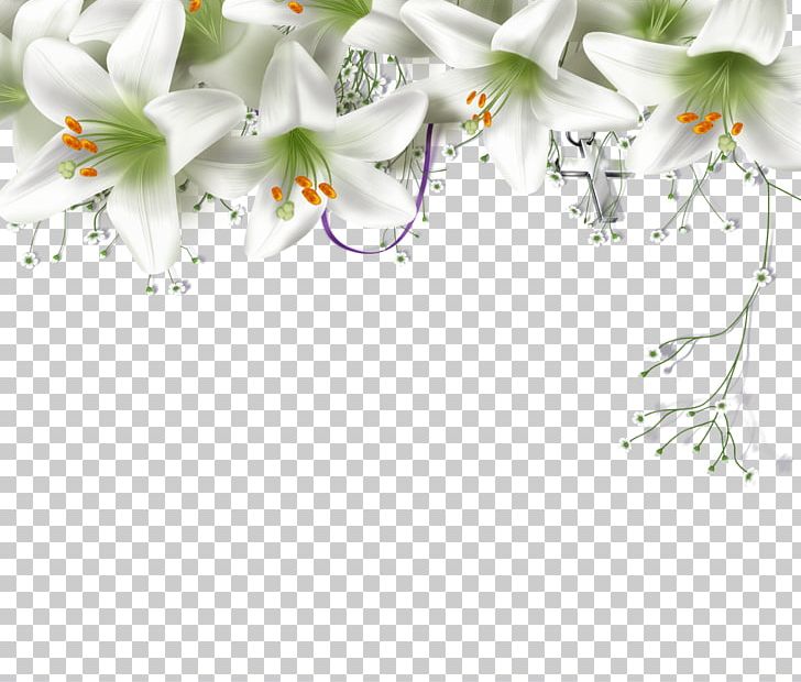 Lilium Flower Taurus PNG, Clipart, Astrological Sign, Astrology, Blossom, Branch, Christmas Decoration Free PNG Download