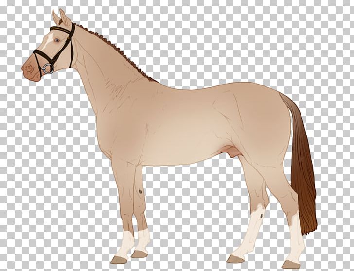 Mane Mustang Stallion Rein Mare PNG, Clipart, Animal Figure, Bit, Bridle, Halter, Horse Free PNG Download