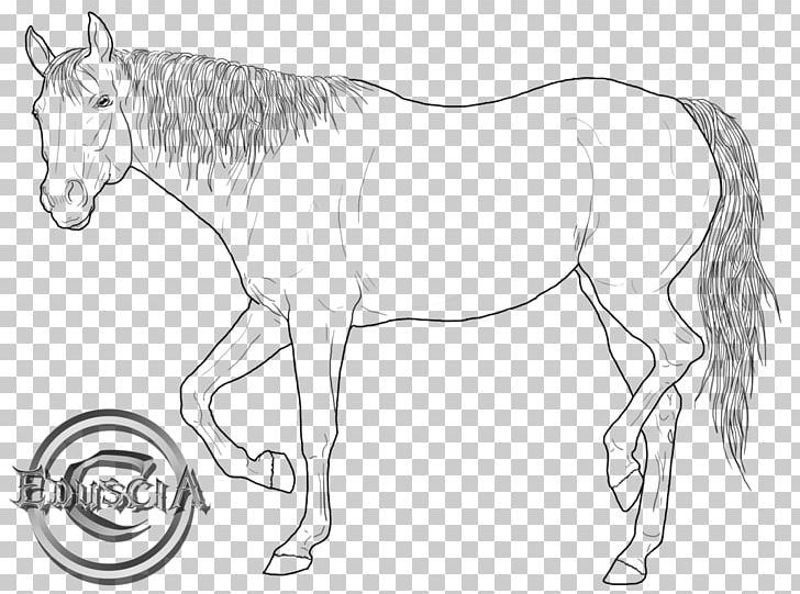 American Quarter Horse Arabian Horse Drawing Line Art Stallion PNG, Clipart, Animal, Animal Figure, Arabian Horse, Art, Artwork Free PNG Download