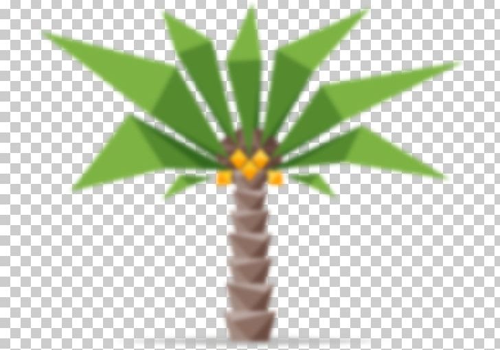 Arecaceae Coconut Tree Stock Photography PNG, Clipart, Arecaceae, Arecales, Blur, Coconut, Flowerpot Free PNG Download