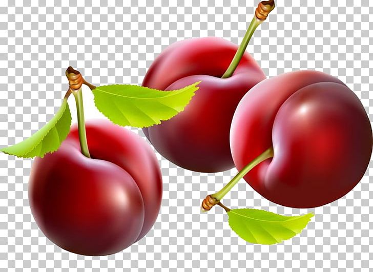 Plum PNG, Clipart, Acerola, Cherries, Cherry, Cherry Red, Encapsulated Postscript Free PNG Download