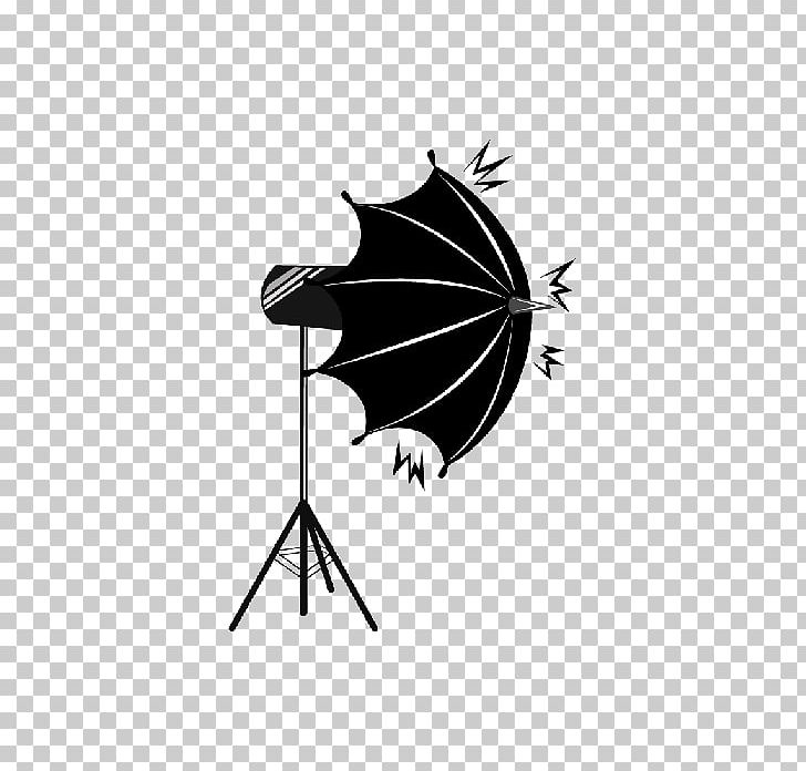 Abziehtattoo Camera Silhouette PNG, Clipart, Abziehtattoo, Bat, Birthday, Black, Black And White Free PNG Download