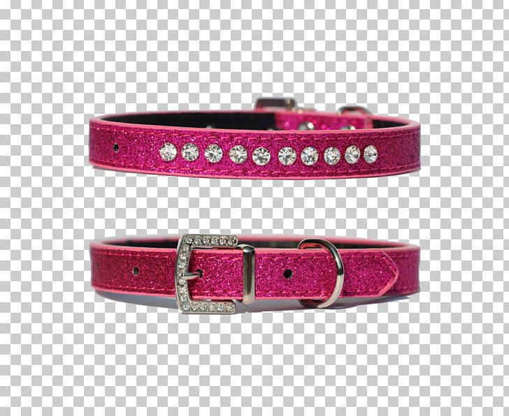 Dog Collar Cat Leash PNG, Clipart, Belt, Belt Buckle, Belt Buckles, Buckle, Cat Free PNG Download