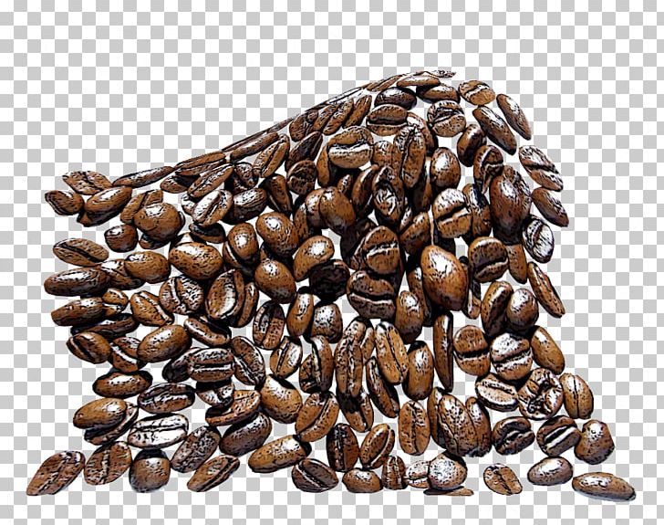 Jamaican Blue Mountain Coffee Nut Seed Commodity PNG, Clipart, Bean, Beans, Coffee, Coffee Aroma, Coffee Beans Free PNG Download