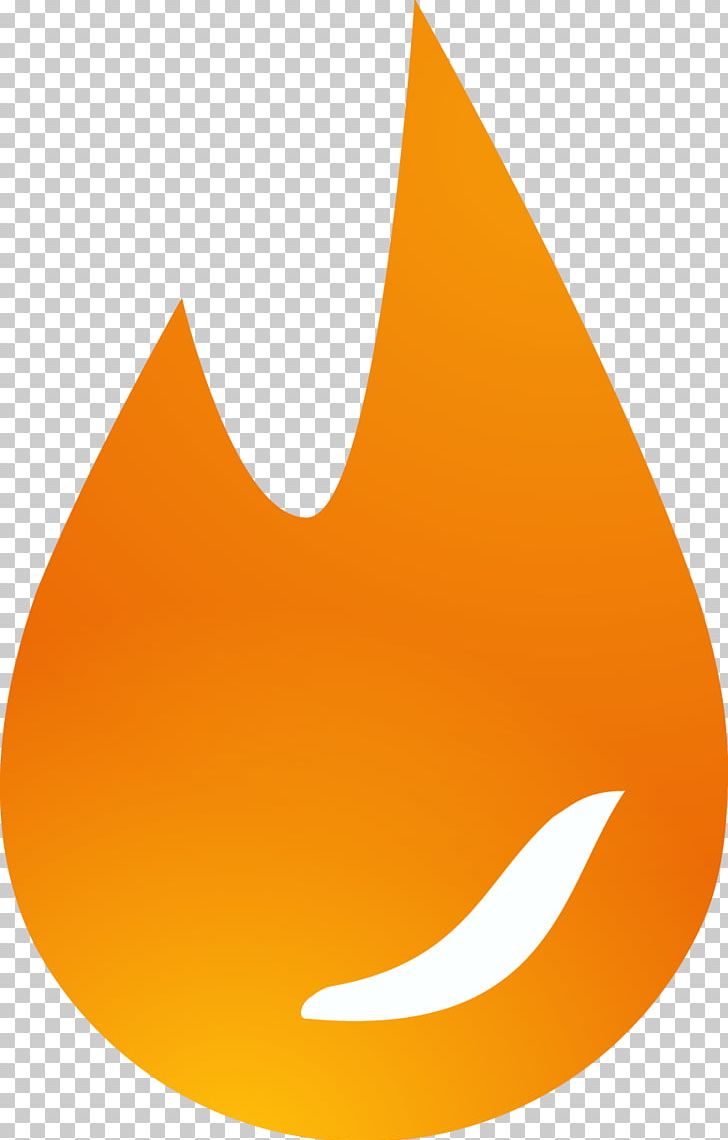 Logo Fire Photography PNG, Clipart, Angle, Digital Image, Fire, Firewood, Flame Fire Letter Free PNG Download