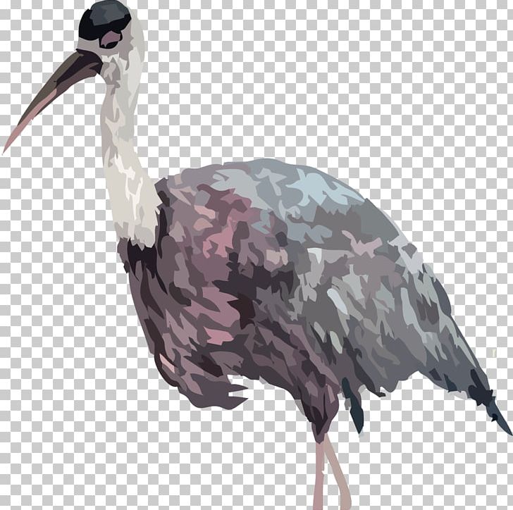 Common Ostrich Bird Euclidean PNG, Clipart, Animal, Animals, Bird, Common Ostrich, Crane Free PNG Download