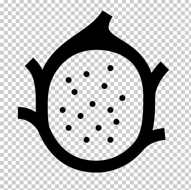 Computer Icons Pitaya PNG, Clipart, Artwork, Auglis, Black, Black And White, Cdr Free PNG Download
