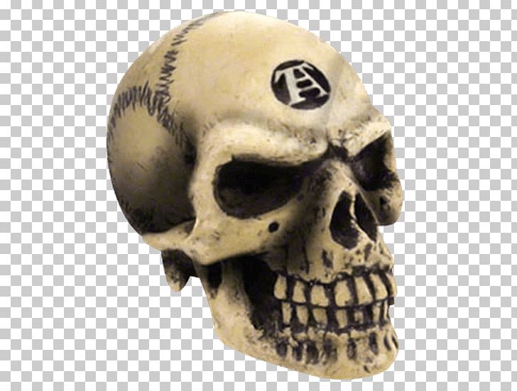 Skull Human Skeleton Alchemy Gothic PNG, Clipart, Alchemy, Alchemy Gothic, Anatomy, Bead, Bone Free PNG Download