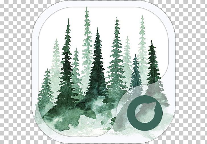 Study Of A Tree Pine Watercolor Painting PNG, Clipart, Art, Art Museum, Conifer, Drawing, Evergreen Free PNG Download