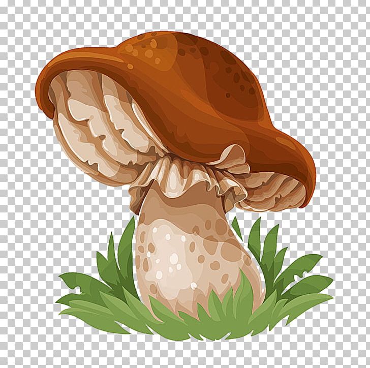 Common Mushroom Drawing Edible Mushroom PNG, Clipart, Cartoon, Cep, Common, Edible Mushroom, Flower Free PNG Download