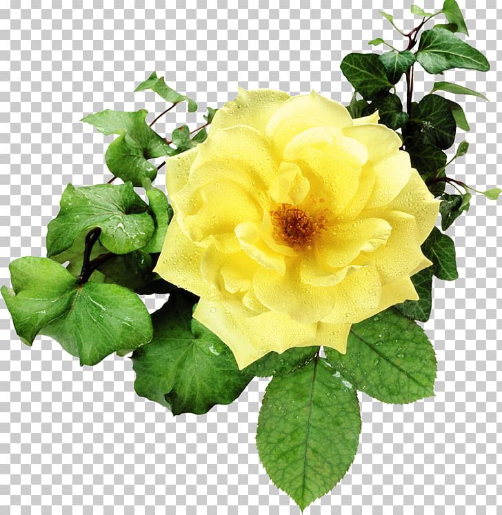 Flower Bouquet Garden Roses PNG, Clipart, Animation, Annual Plant, Blue Rose, Digital Image, Floribunda Free PNG Download
