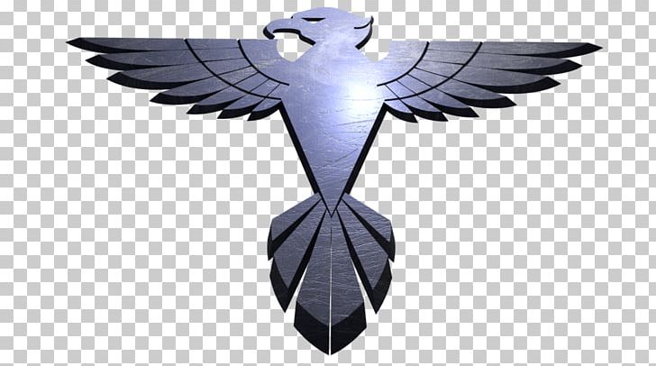 Logo Hawk Symbol Film PNG, Clipart, 2004, Beak, Bird, Bird Of Prey, Deviantart Free PNG Download